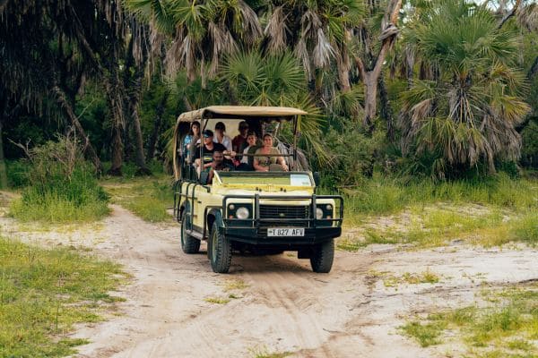 Safari Guide Position at AstroZoo Park