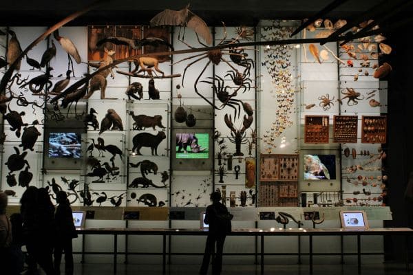 Species Exhibition